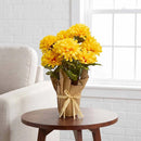 Mum Floral Arrangement, 12 Inch