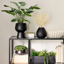 Artificial White Pampas Grass Arrangement in Black Pot, 16 Inch